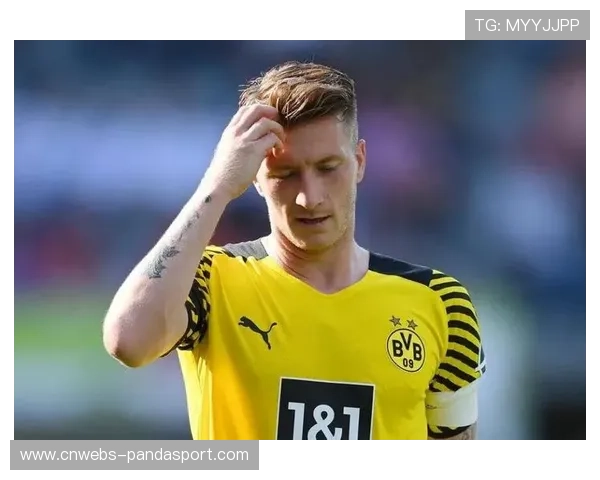 罗伊斯续约多特蒙德，老将经验助力年轻阵容