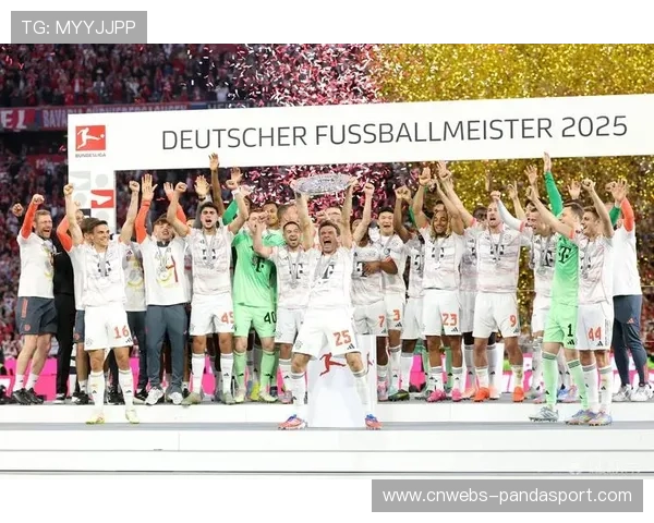 欧冠赛事扩容带来财政影响，2024-25赛季总奖金增加近6亿欧元